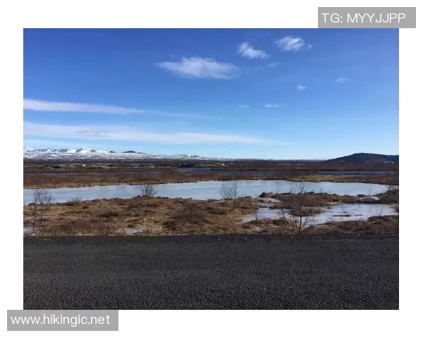 冰岛与芬兰展开激烈对决世预赛欧洲赛场精彩纷呈