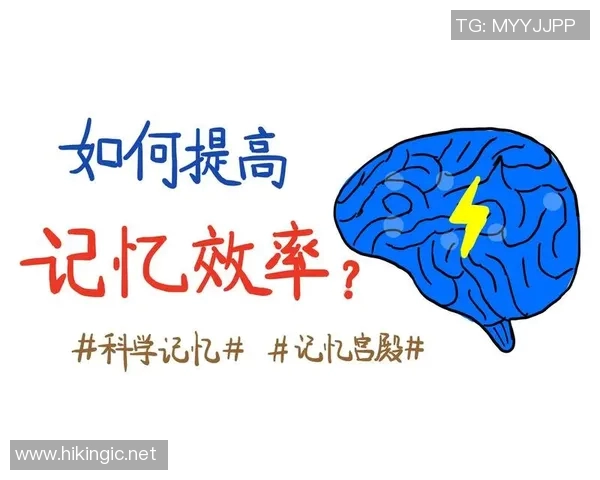 高强度有氧运动如何有效提升大脑认知功能与记忆力的研究探讨 高强度有氧运动如何有效提升大脑认知功能与记忆力的研究探讨